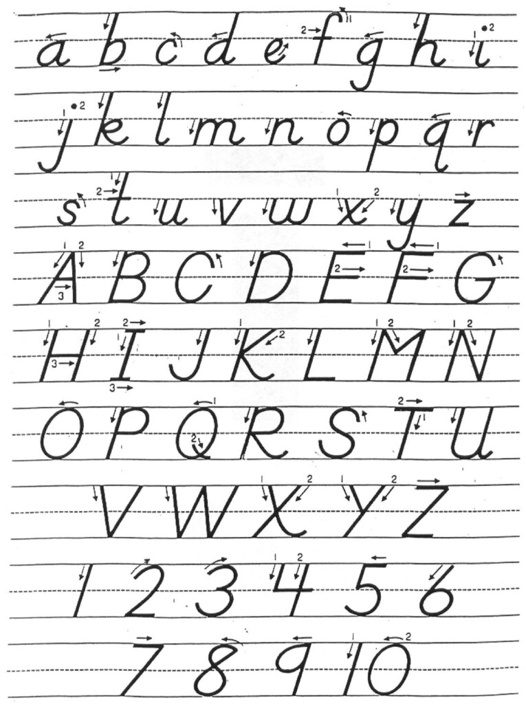 D nealian Alphabet Tracing Worksheets TracingLettersWorksheets