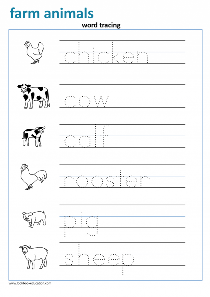Animal Tracing Worksheets