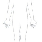 Human Body Diagram Contour Human Body Diagram Human Body Printables