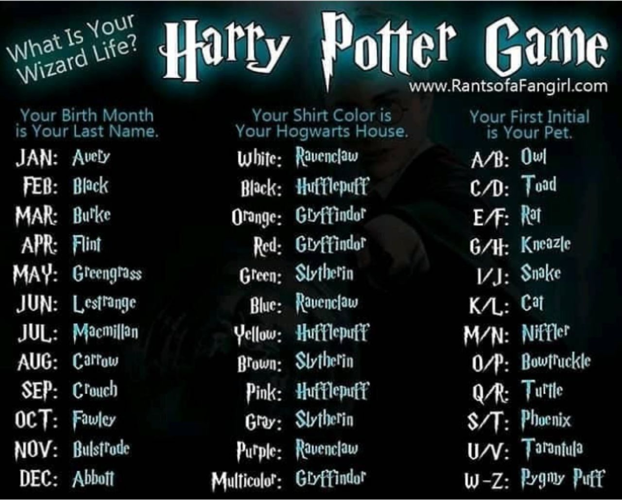Pin By Jess Bui On Fairy And Wizard Harry Potter Games Hogwarts